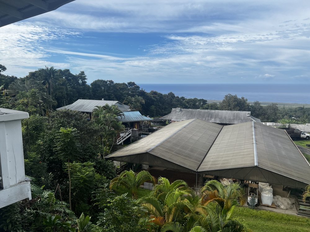 Rooster Farms Kona Coffee Farm