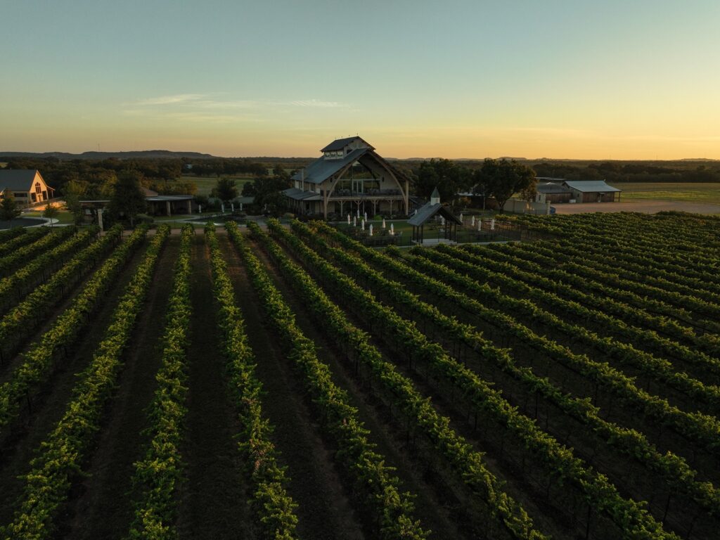 Vineyards of a Winery