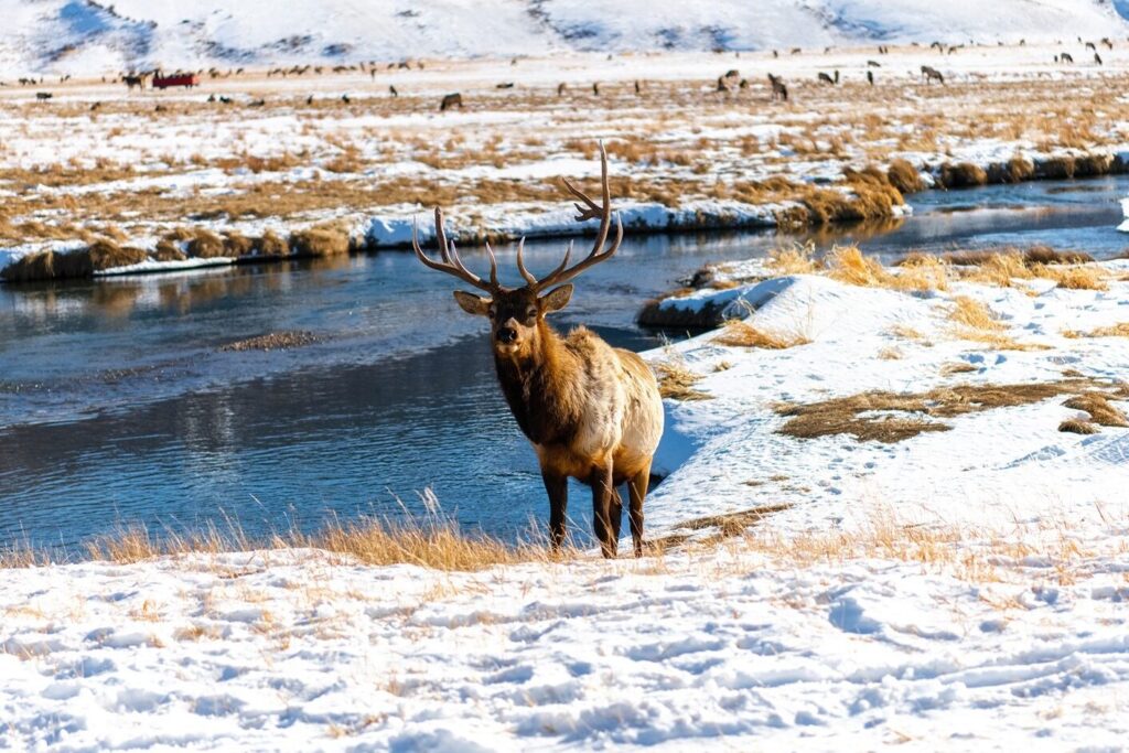 Best Place for Young Adults to Vacation: Grand Teton National Park Jackson Hole