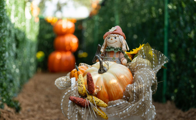 Where to Visit in America in October: River Ranch