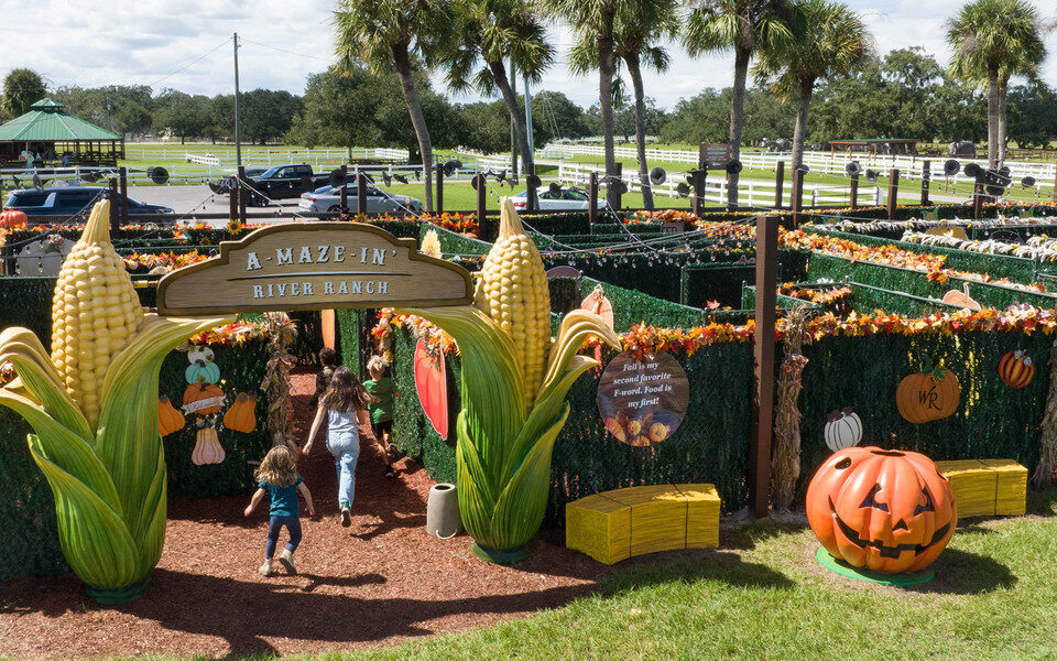 Where to Visit in America in October
