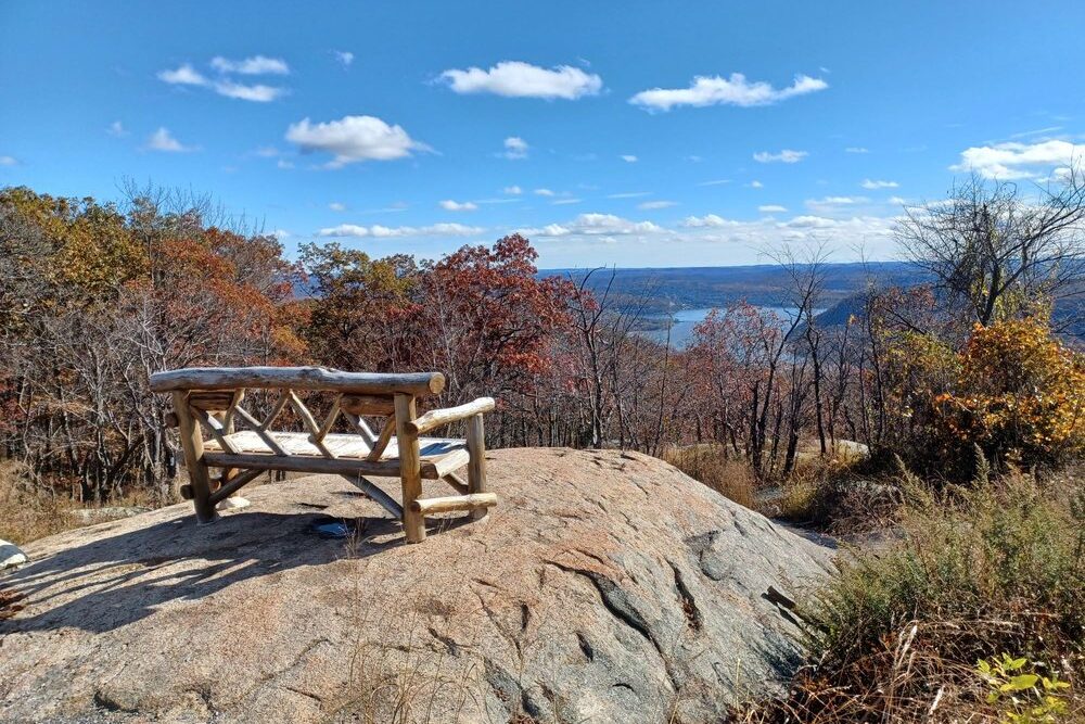 Upstate New York Fall Foliage: View of Rich Brown Leaves at Bear Mountain State Park