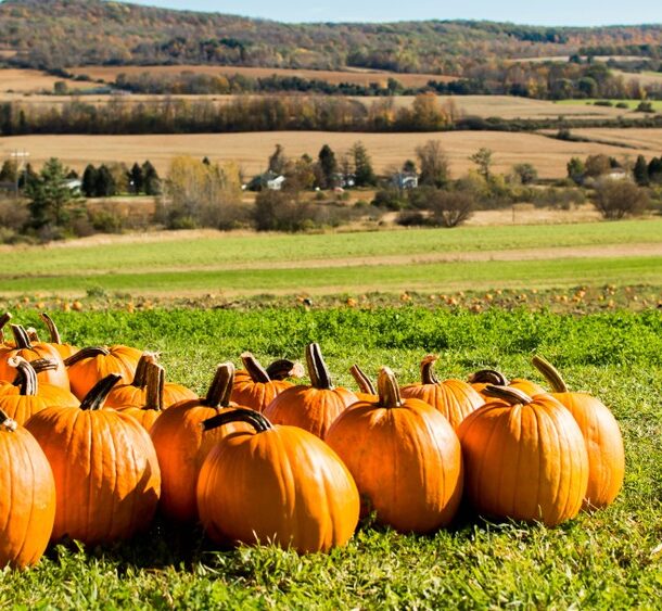 Best Halloween Travel Destinations