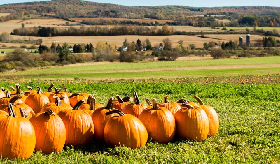 Best Halloween Travel Destinations