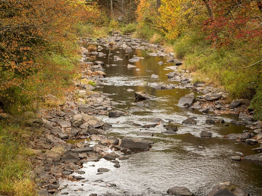 Fall Foliage over Stream Crossing the Upper Delaware Scenic Byway