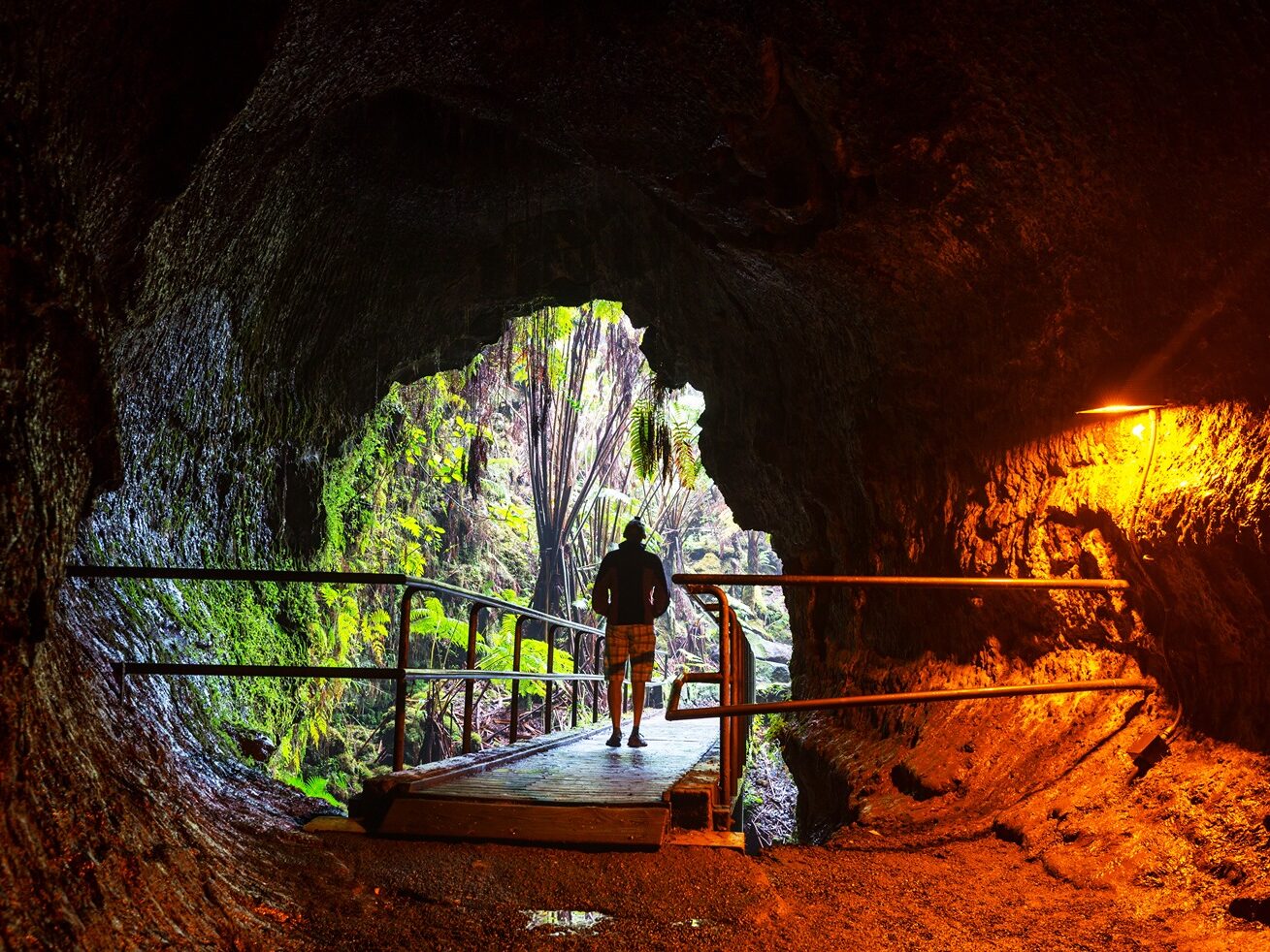 Thurston Lava Tube at Hawaii Volcanoes National Park