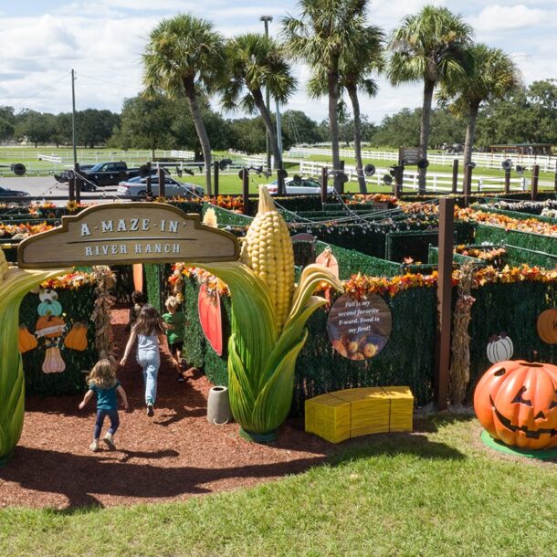 Westgate River Ranch Maze