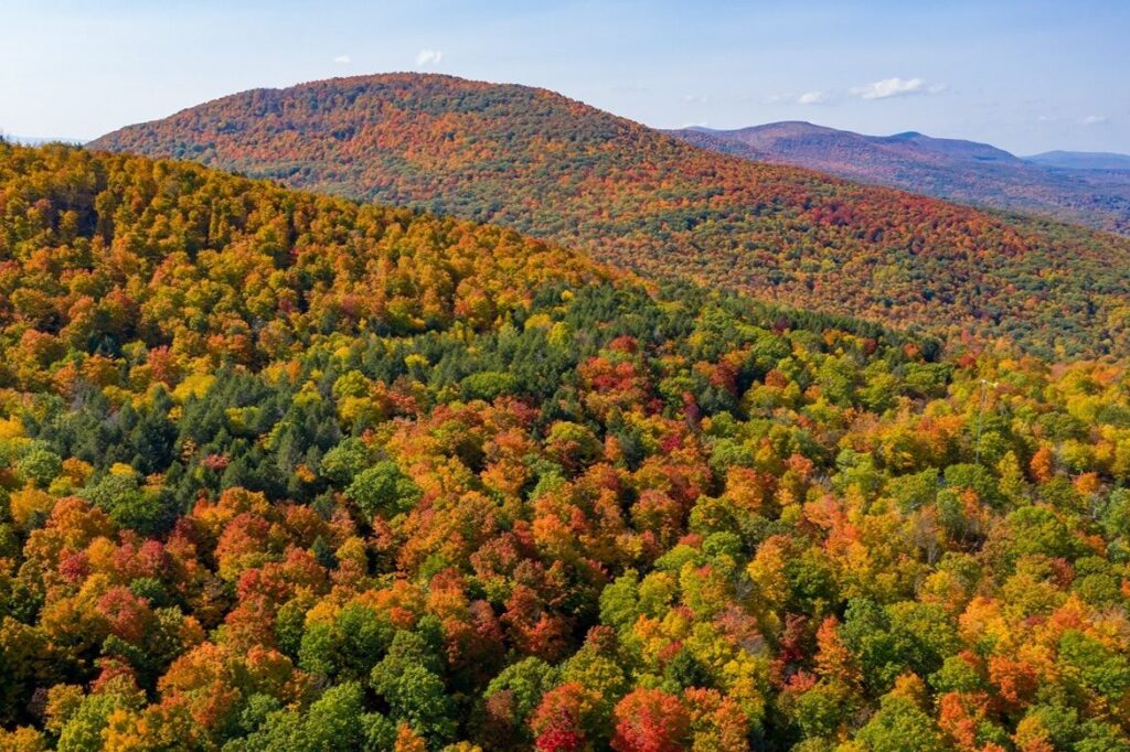 Upstate New York Fall Foliage: Long-Range Views of Dark Orange Leaves in the Catskills