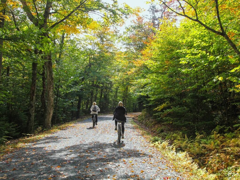 Bike Path Bar Harbor