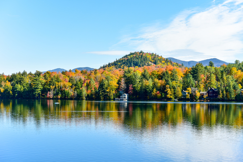 Upstate New York Fall Foliage: Light Orange Leaves and Golden Yellows at Lake Placid