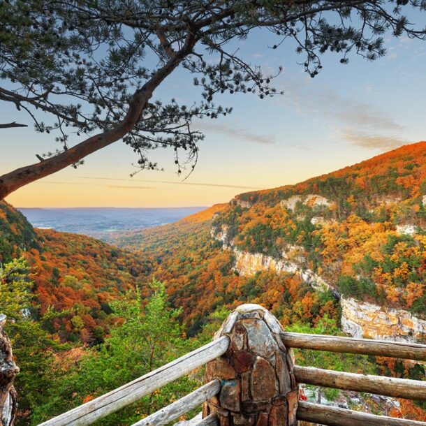 Cloudland Canyon - Best Places to Visit in November Feature