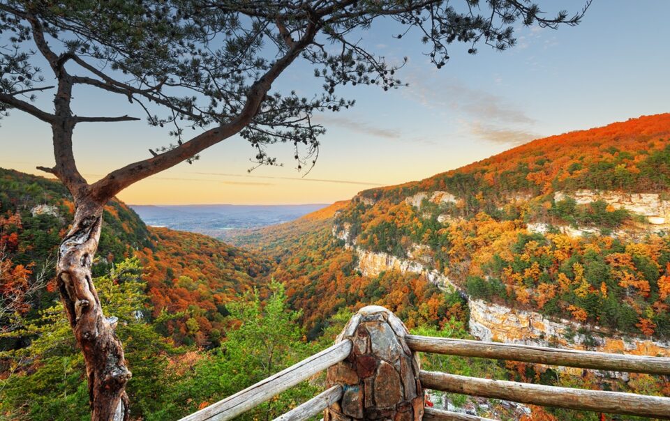 Cloudland Canyon - Best Places to Visit in November Feature