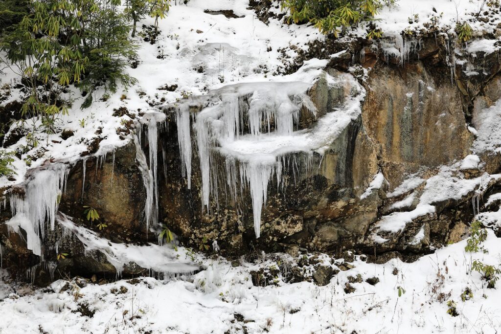 Ice Formations in the Great Smoky Mountains