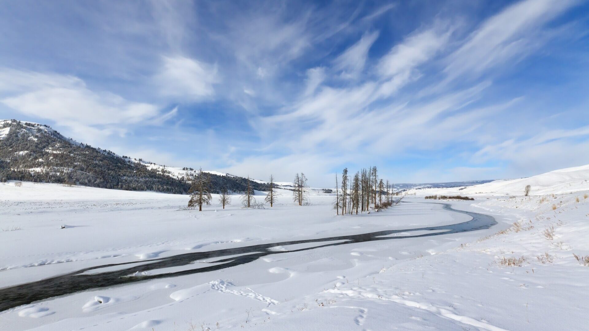 Lamar Valley on Yellowstone Winter Trips