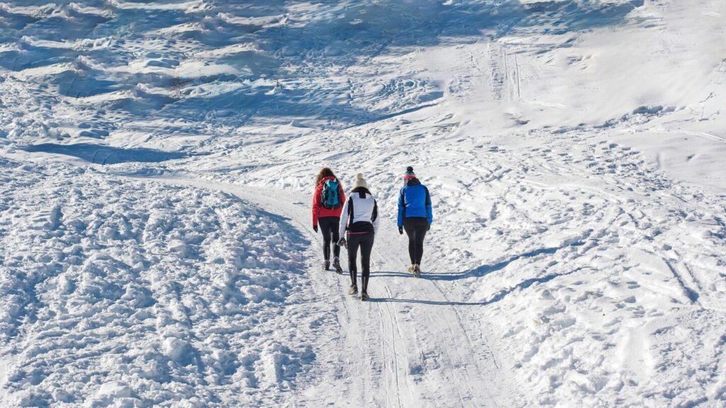 Snow Shoeing in Yellowstone