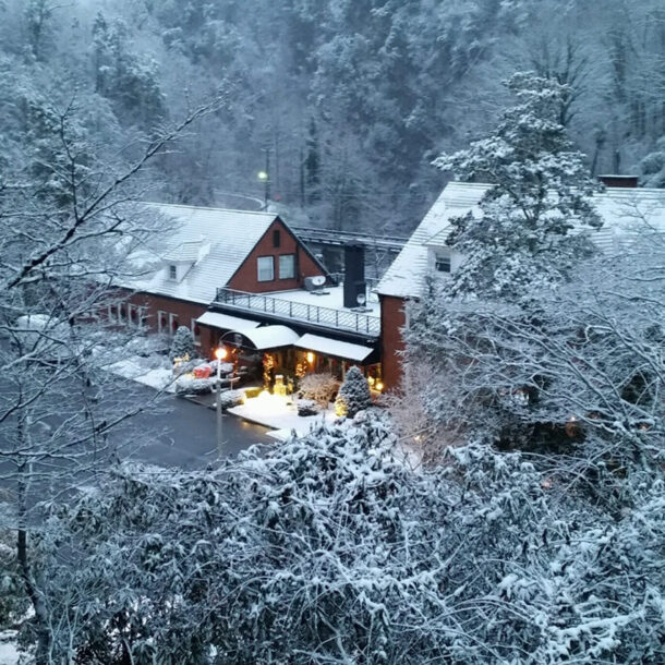 Best Christmas Cabin Getaways for a Cozy Holiday Escape