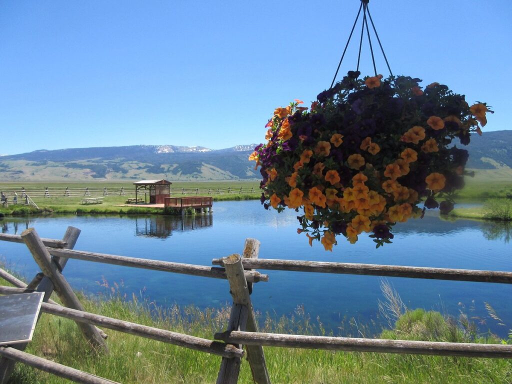 Jackson National Fish Hatchery
