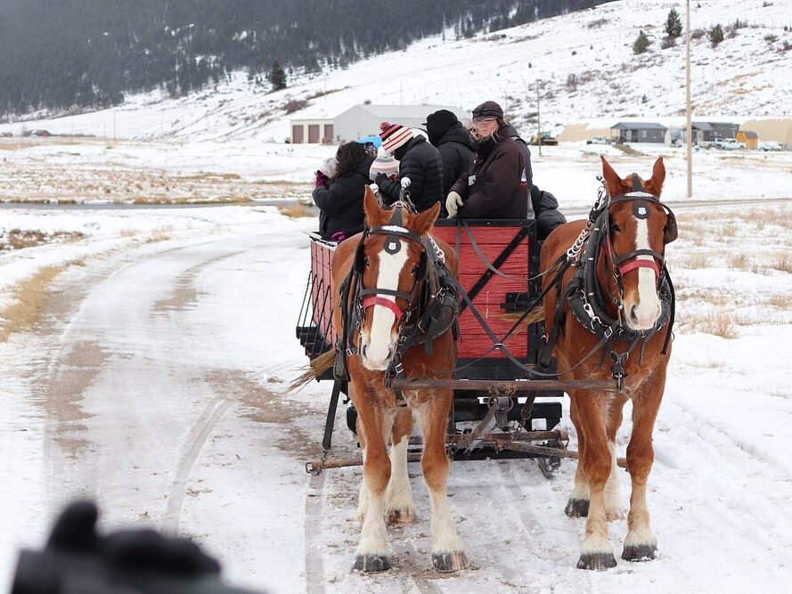 National Elk Refuge Jackson Hole Wyoming Sleigh