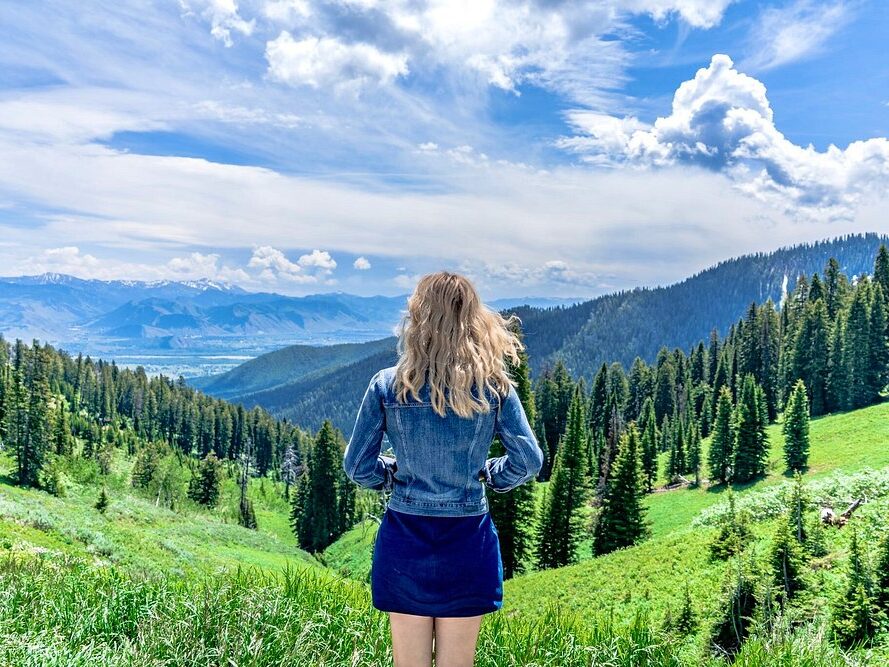 National Elk Refuge Jackson Hole Wyoming Summer