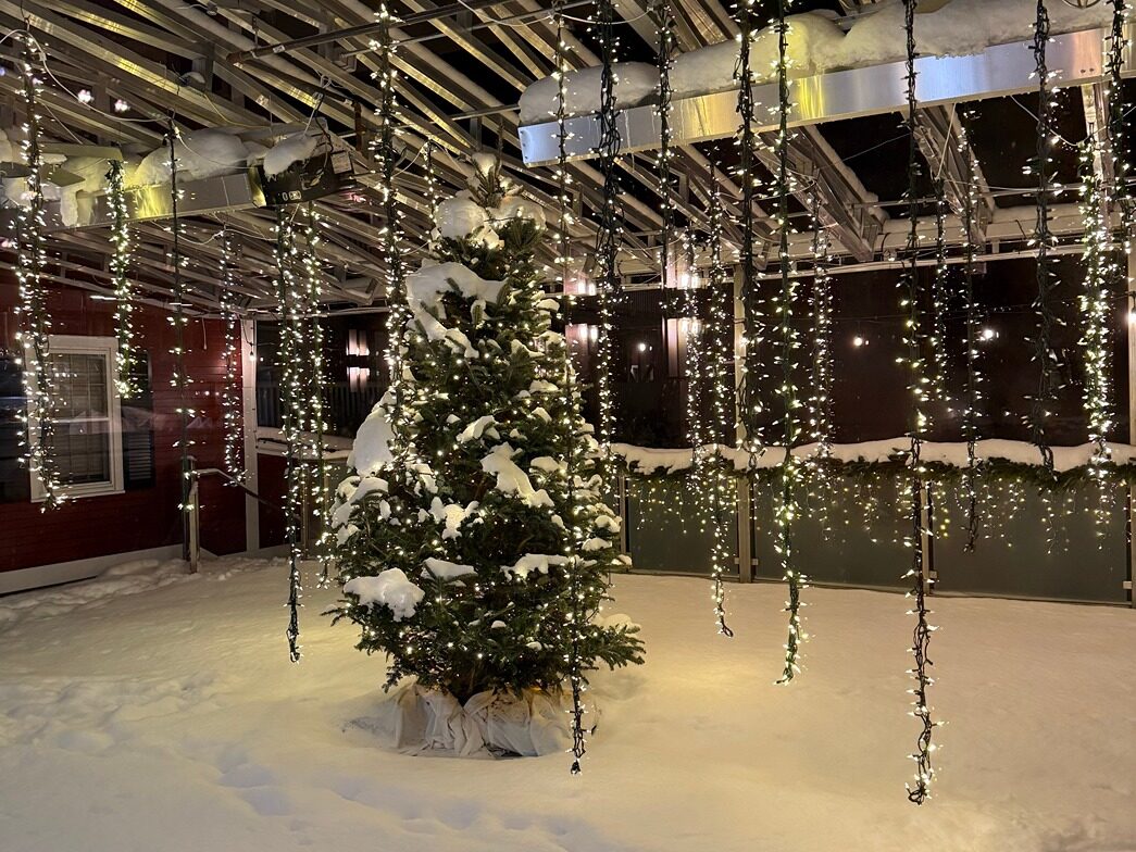 Stowe Christmas Tree