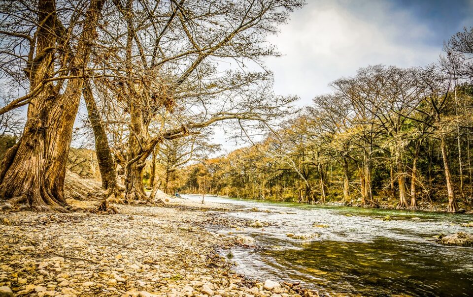 Texas Hill Country Winter Feature