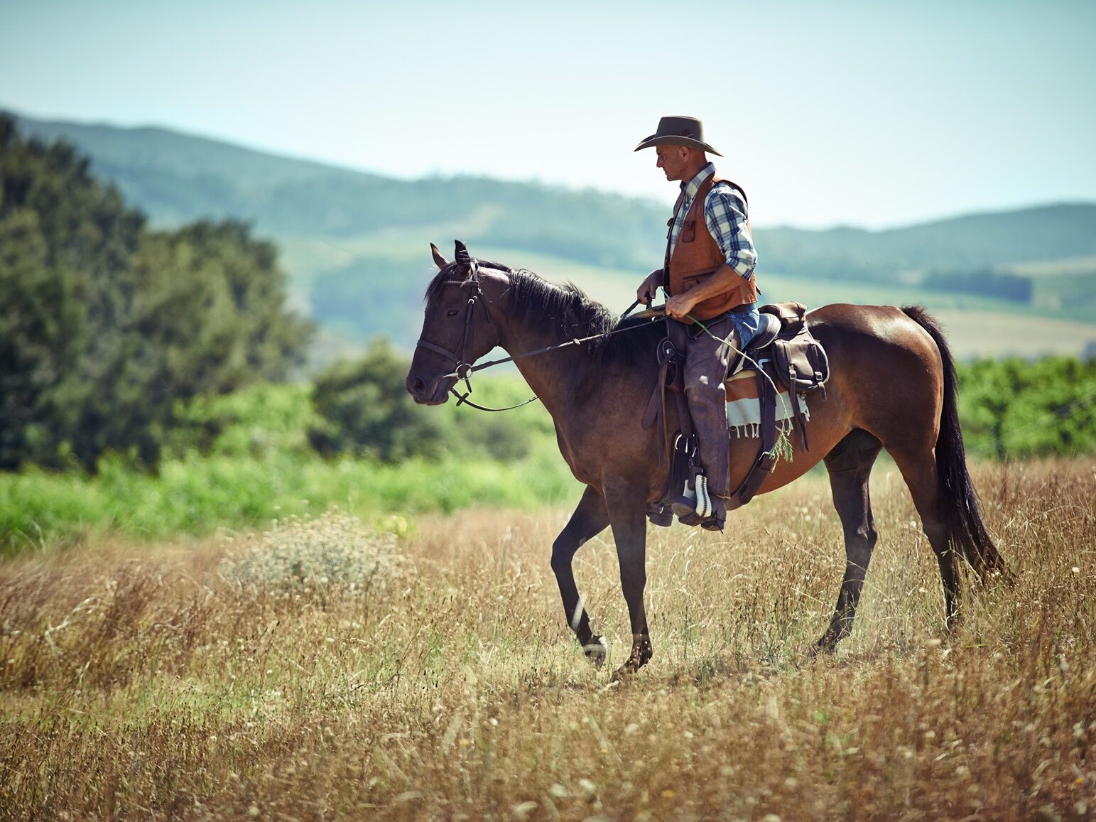 Things to do in Texas in the Winter - Horseback Riding
