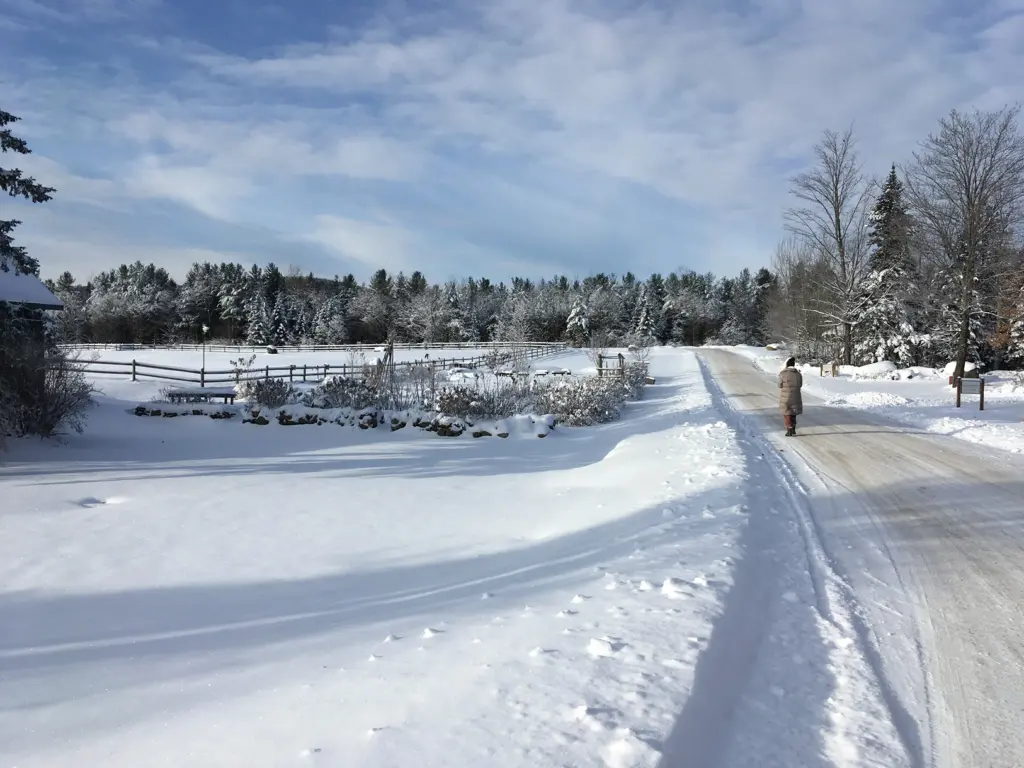 A person walking down a snow-covered winter road past fenced fields and pine trees in Upstate New York.
