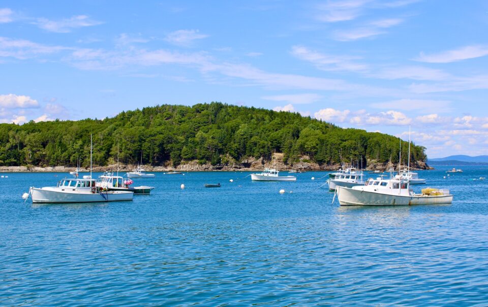 The Ultimate Bar Harbor Fishing Trip for Adventure Seekers