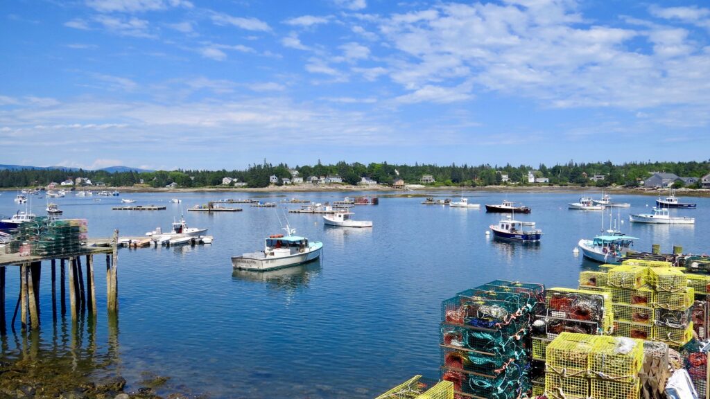 Bar Harbor Fishing Trip Boats