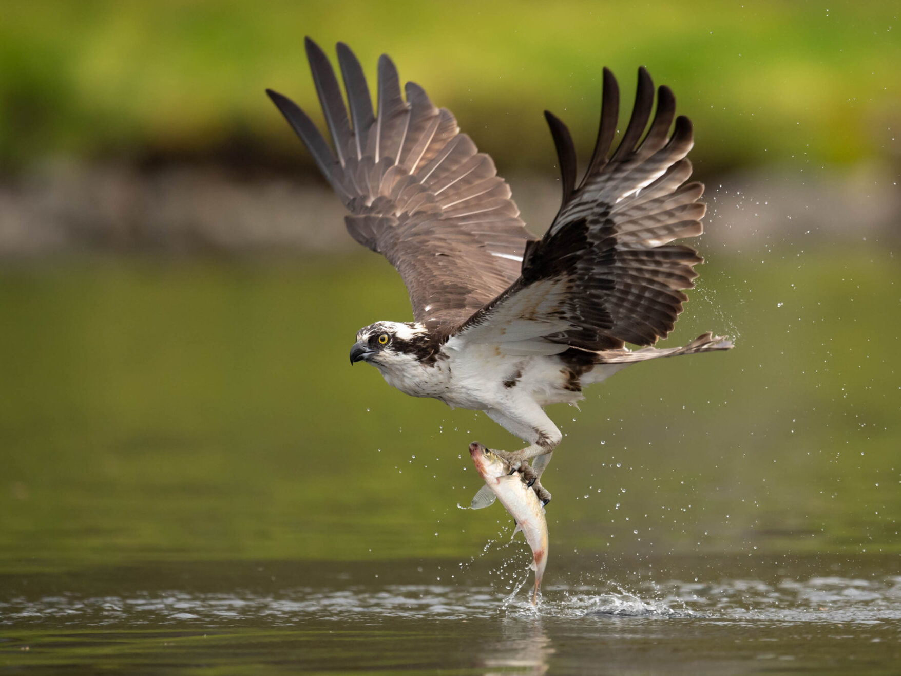 Bar Harbor Fishing Trips in Acadia National Park Lakes