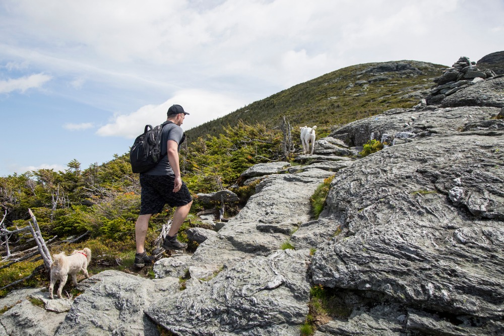 Spring Break Road Trip: Stowe Hiking