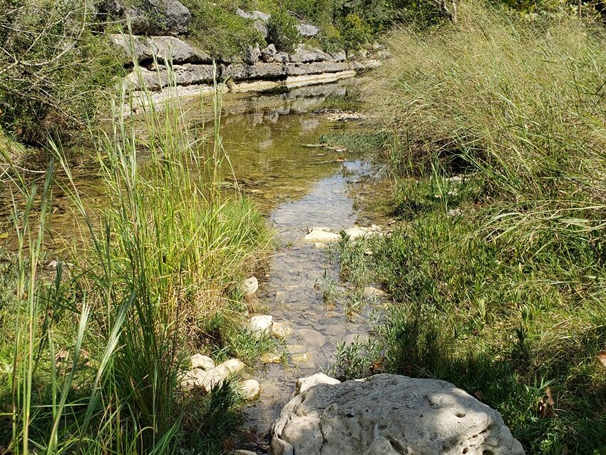 Creek at Jacobs Well