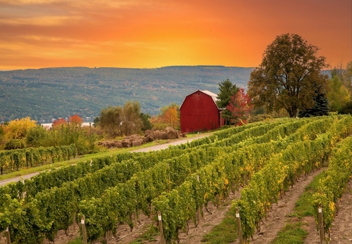 Romantic Getaways in Upstate NY: Finger Lakes Wine Trail