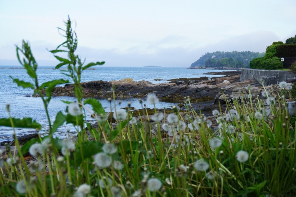 Spring Break Road Trip: Bar Harbor