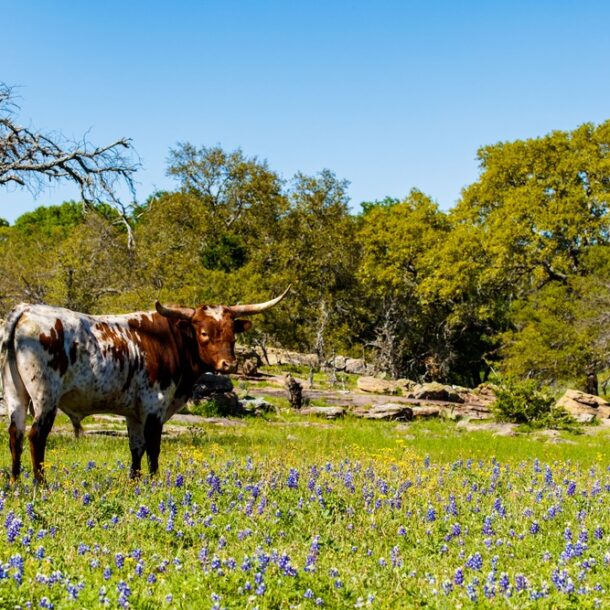 Best Places to Visit in March USA