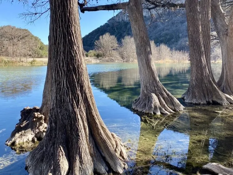 Garner State Park Trees Hiking in Texas Hill Country