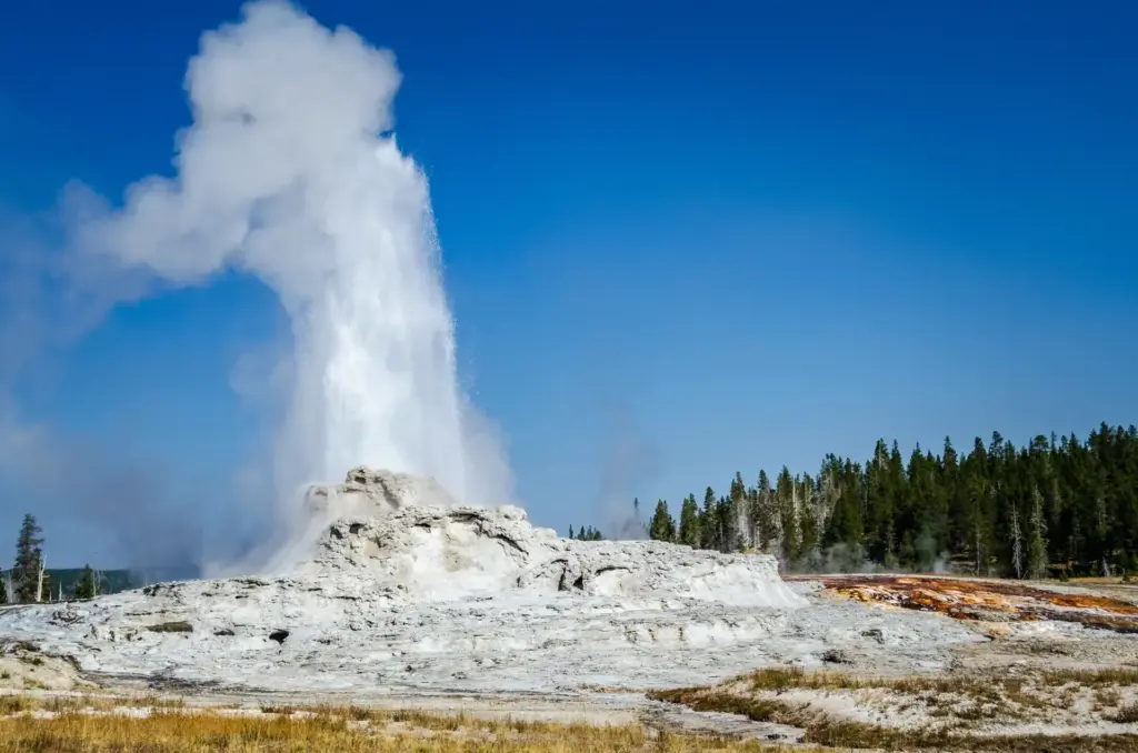 Geyser at Yellowstone