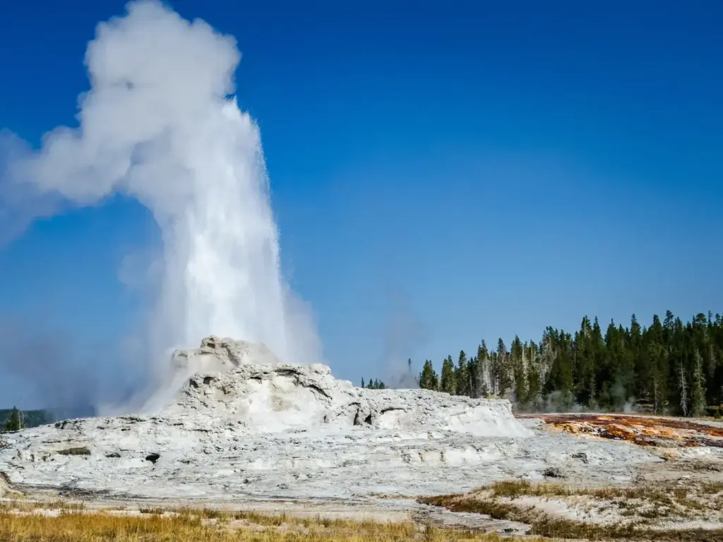 Geyser at Yellowstone