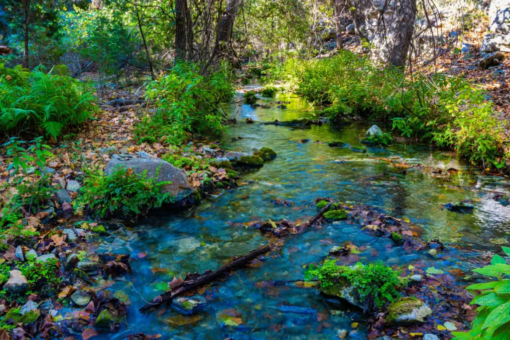 Gorman Springs in Colorado Bend State Park Hiking in Texas Hill Country