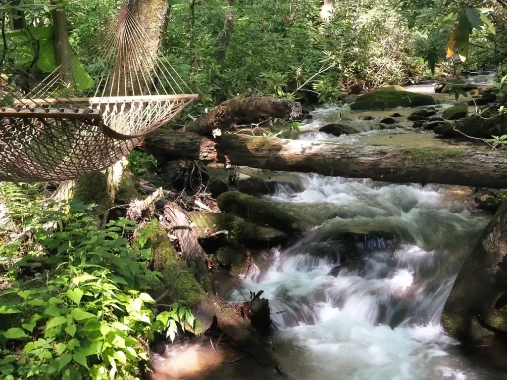 Creekside Hammock