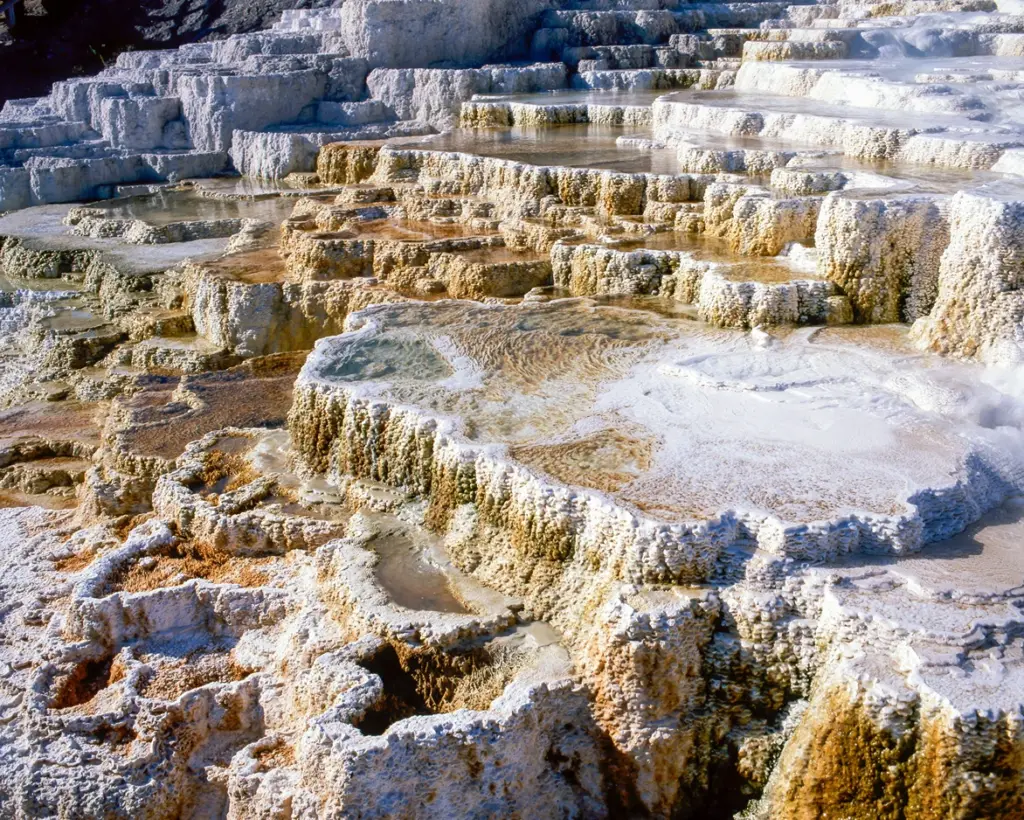 Mammoth Hot Springs