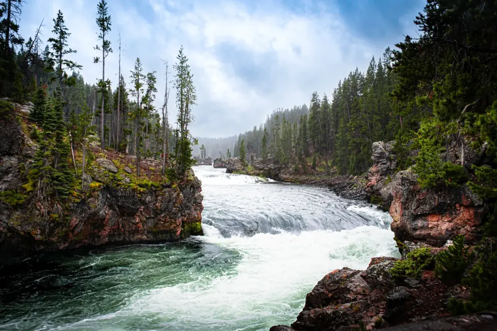 River in Yellowstone
