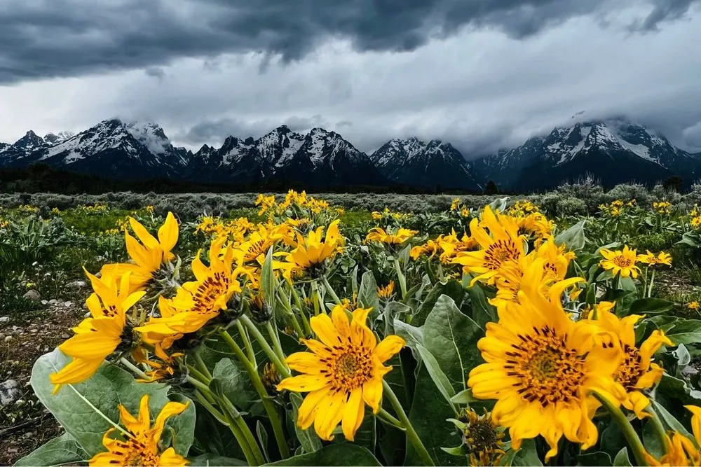 Best Places Visit in April: Jackson Hole