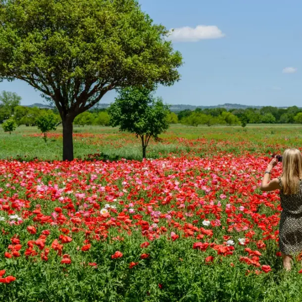 Places to Go for a Mini Vacation