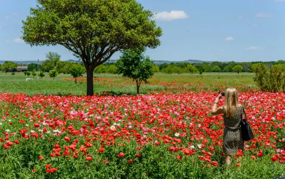 Places to Go for a Mini Vacation