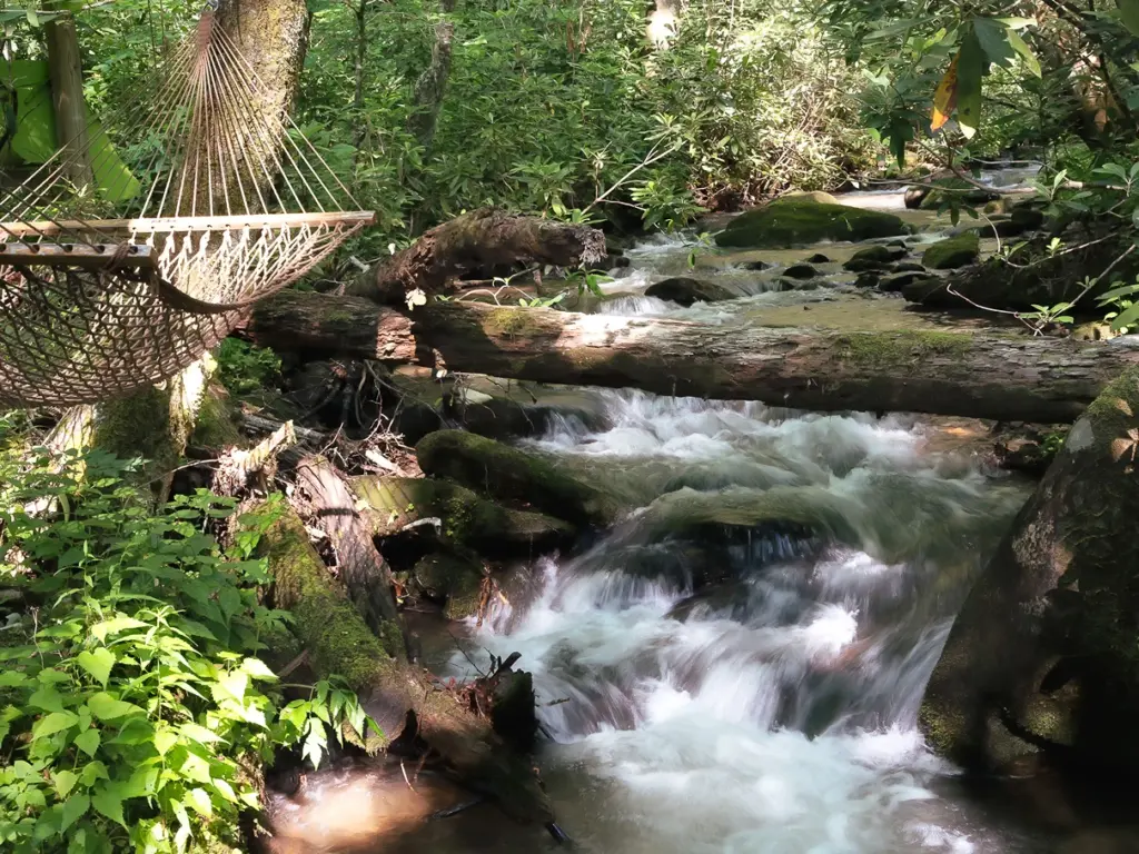 Rope hammock hanging beside a rocky, rushing forest stream at a nature immersive resort.