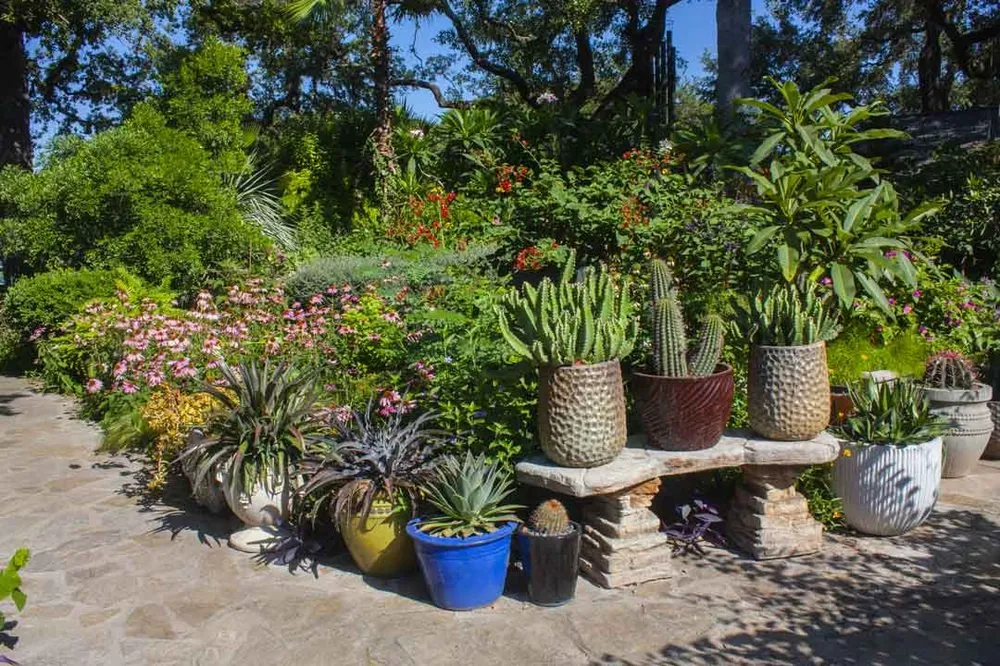 Krause Springs Garden