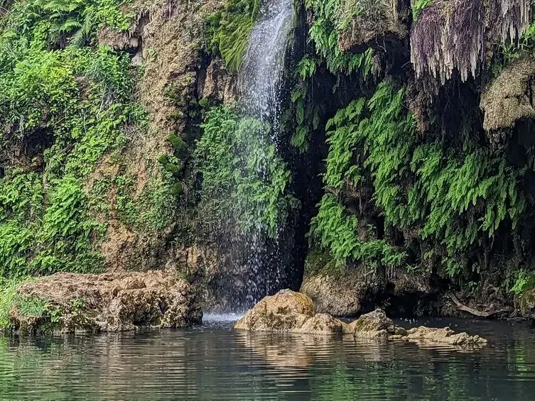 Krause Springs Waterfall
