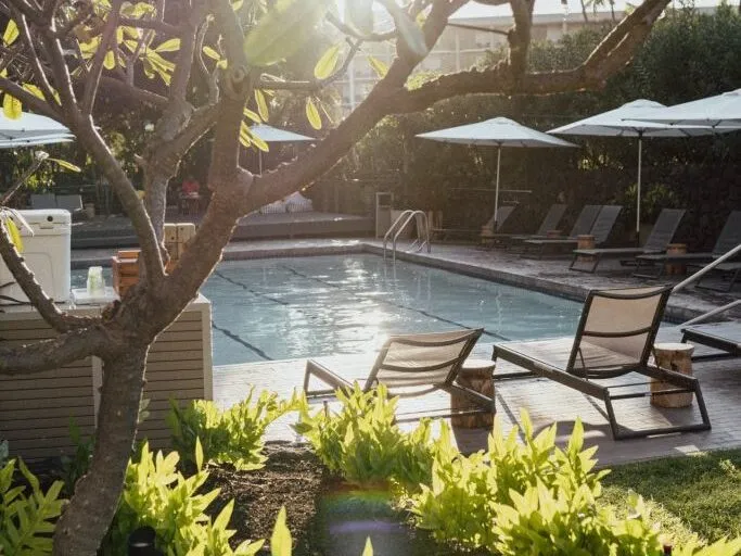 Pacific 19 Pool Area