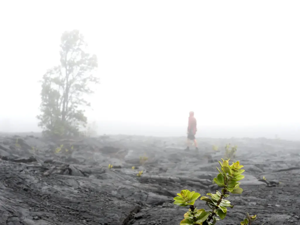 person walking on a foggy volcanic landscape with rocky ground and sparse green plants.